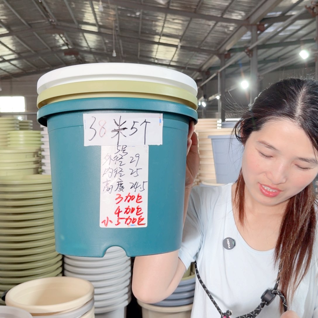 微瑕5#四季果绿6个