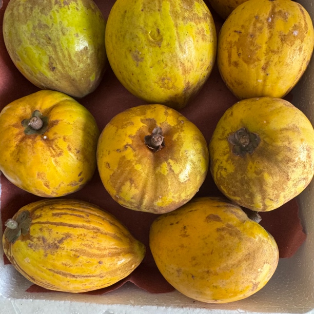 新鲜花皮鸡蛋果熟果现摘应季水果热带云南特产稀有水果批发黄果