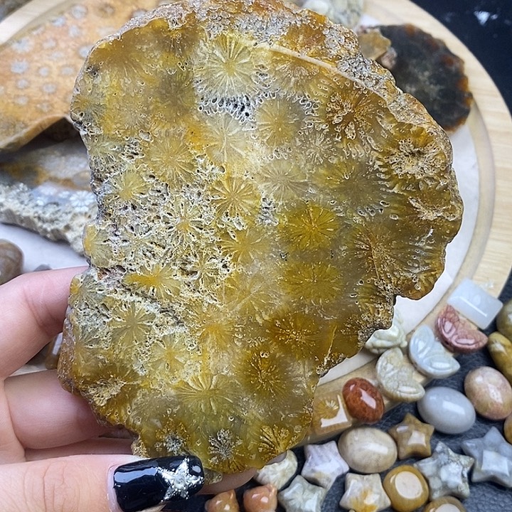 硅化玉未镶嵌颈饰9