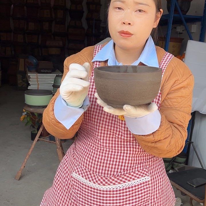 绿萝拉毛小花盆花盆花盆