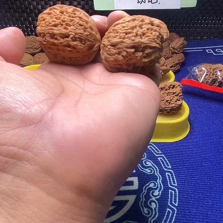 38尺南疆天使之翼