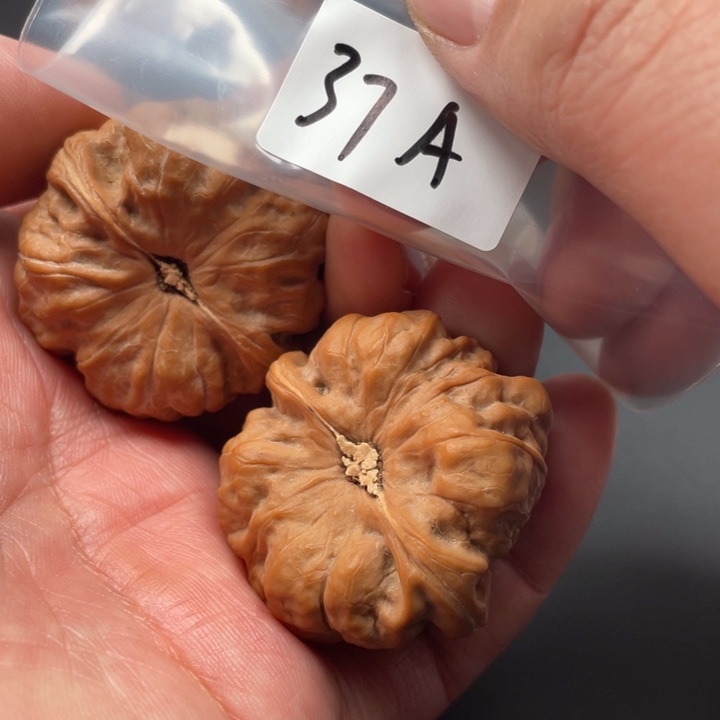 文玩核桃吊坠蛤蟆42