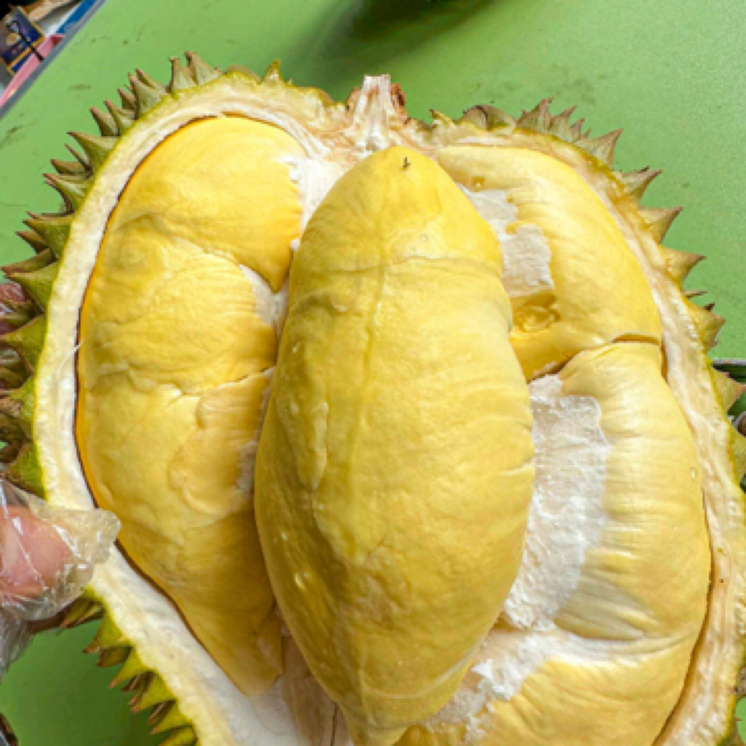 金枕树熟鲜榴莲A果（45元一斤）整果一果一重核小（现拍现称）榴莲同城送金枕泰国