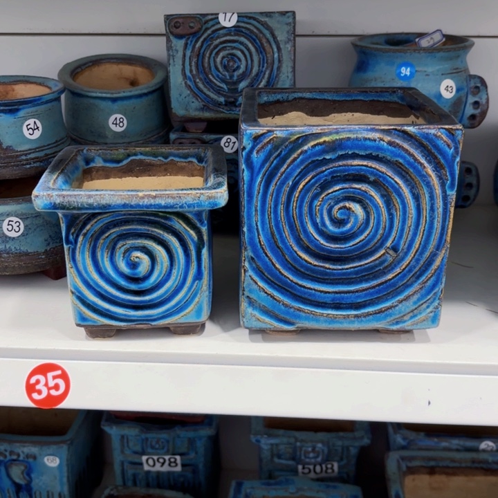 红陶内人也是我最喜欢看