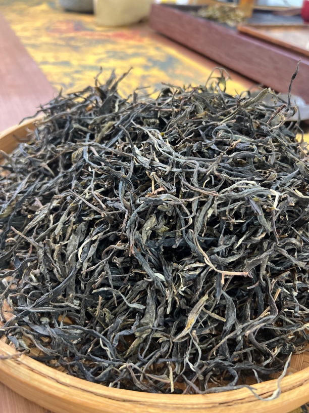 2024年忙麓山昔归古树茶