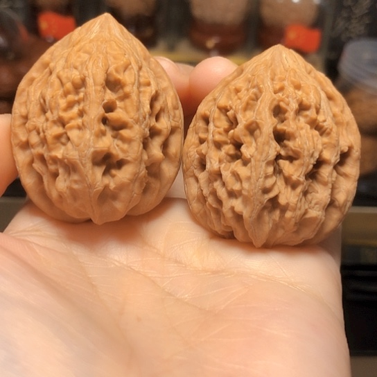 特价福利：大沽石