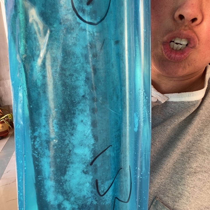 梅***7中国大陆渤海湾野生燕鲅鱼11号