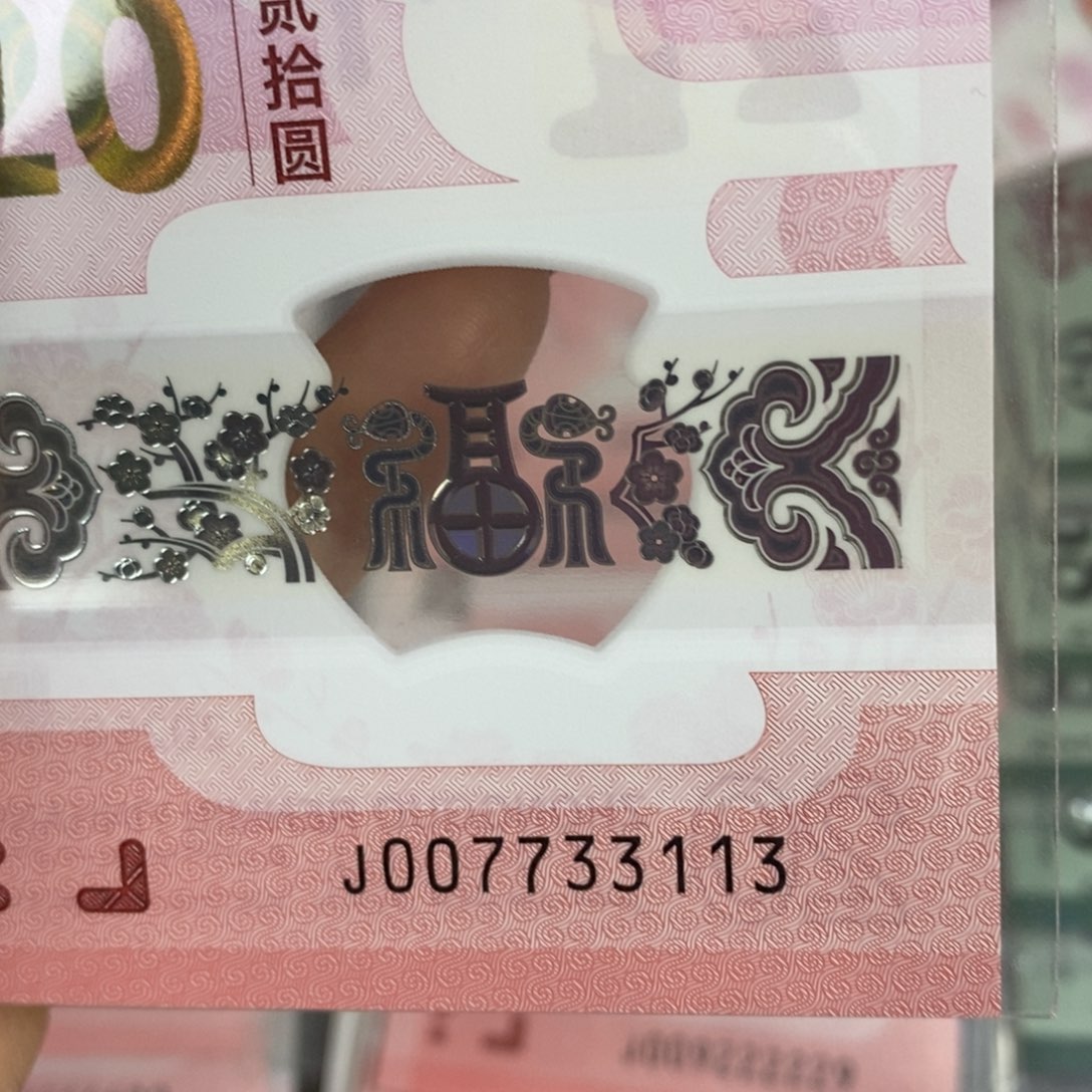 塑料 113……………………………………