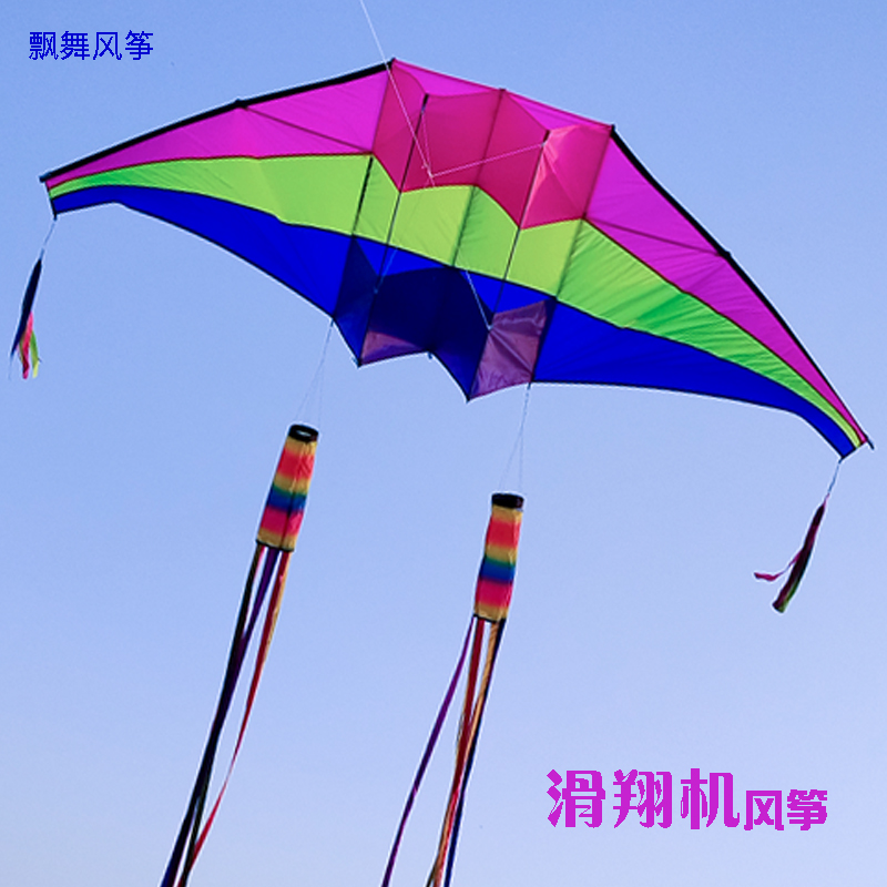 2025新款大型滑翔机风筝40D伞布树脂杆成人专用微风易飞长尾高档