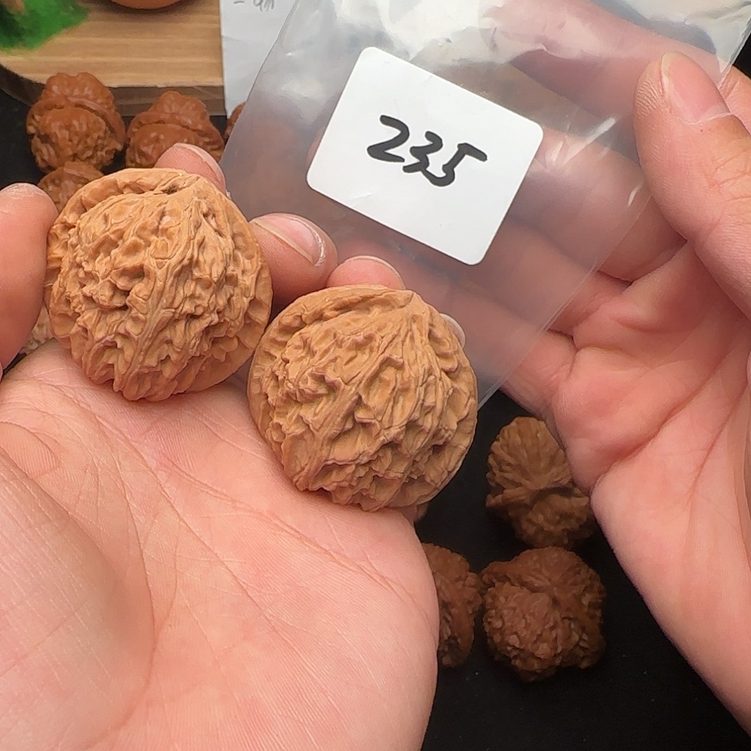 把件文玩核桃235白狮子40