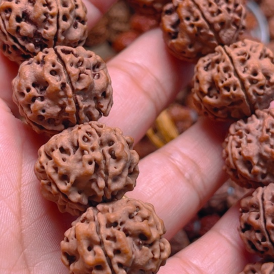 壮***云金刚菩提手串v0088/23/5