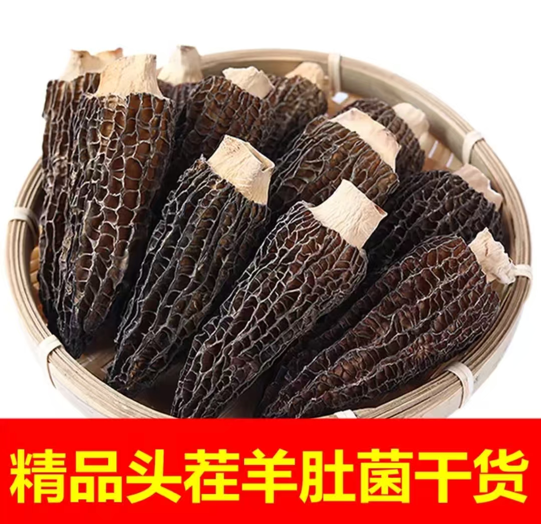 云南山里的羊肚菌 3-5公分 