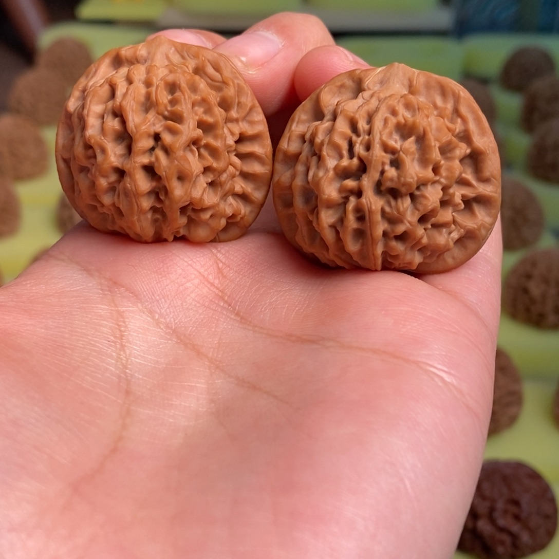 摩***生核桃秦岭闷尖狮子头34