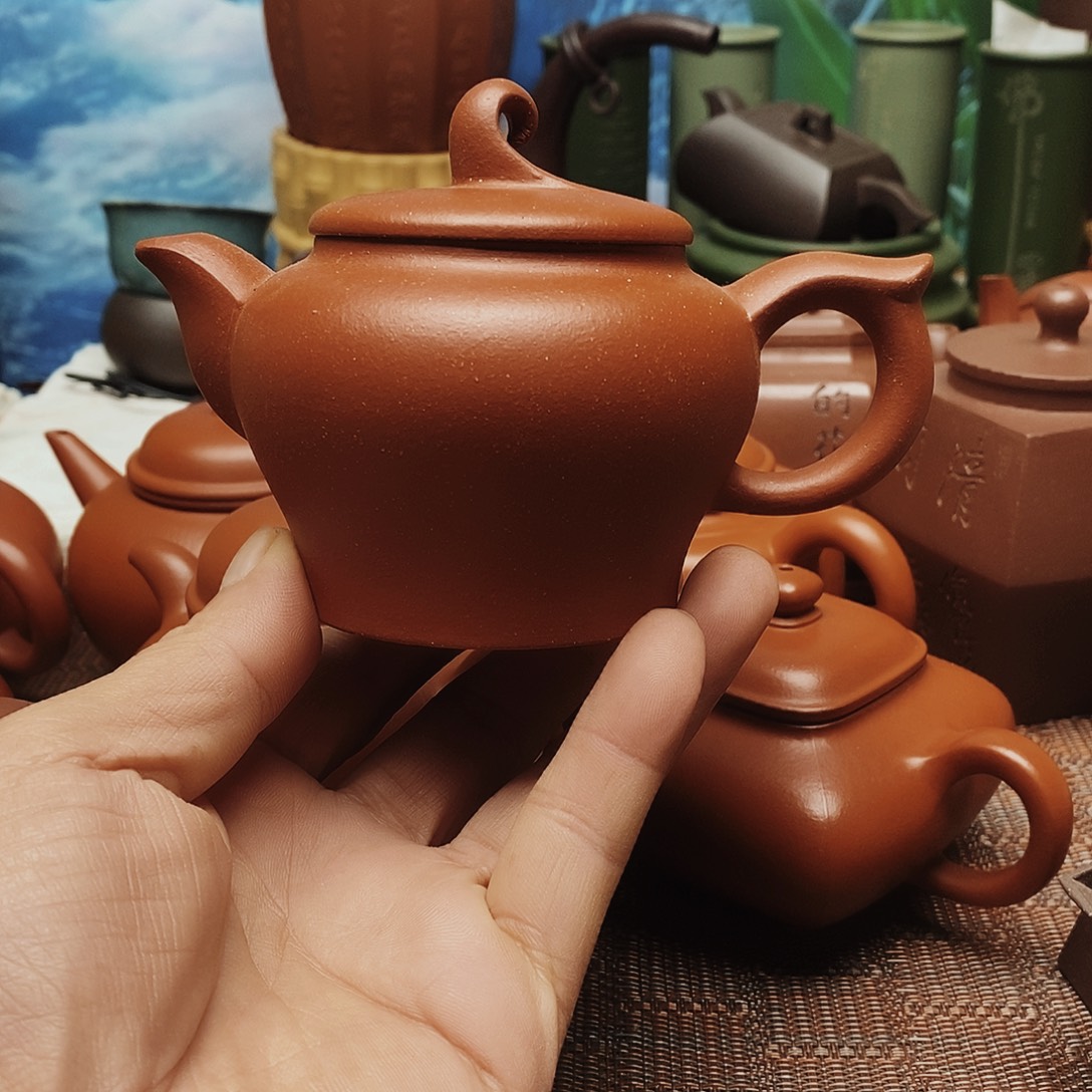 绿泥24号1357898743788535678