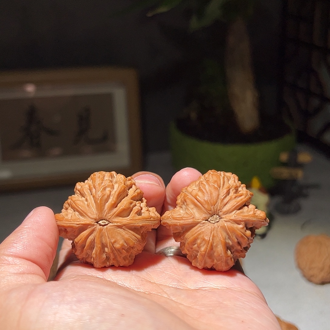 ****朋核桃395/40房山山地磨全品