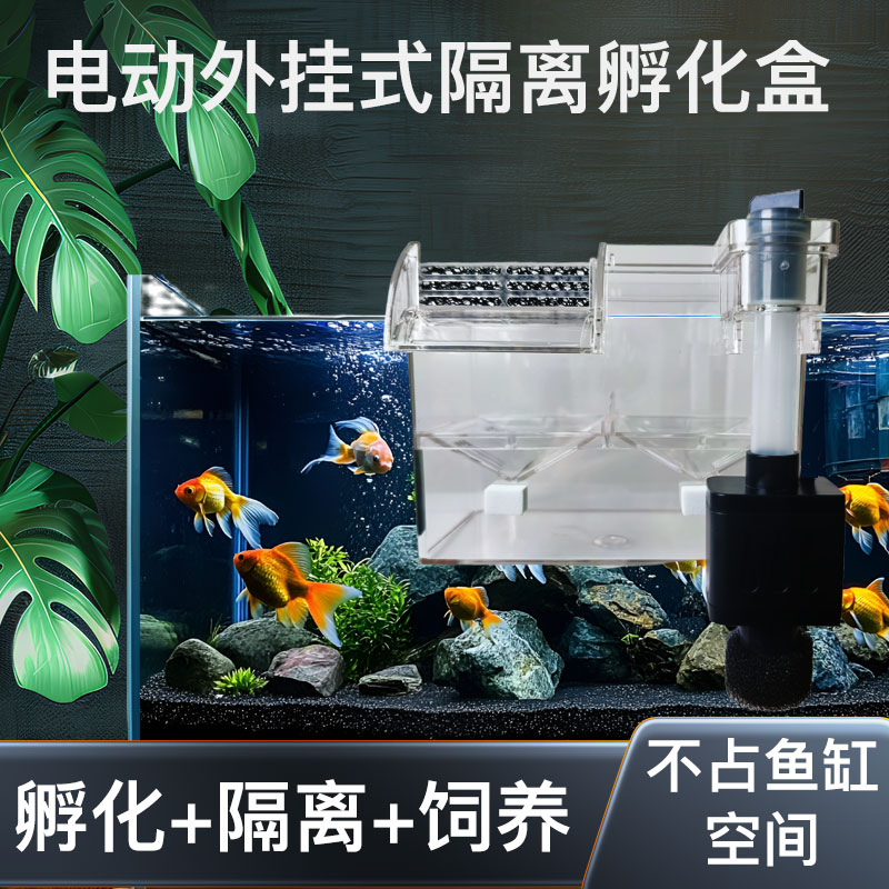 鱼缸孵化盒隔离盒孵化器藻盒斗鱼盒带水泵电动缸外繁殖盒生小鱼