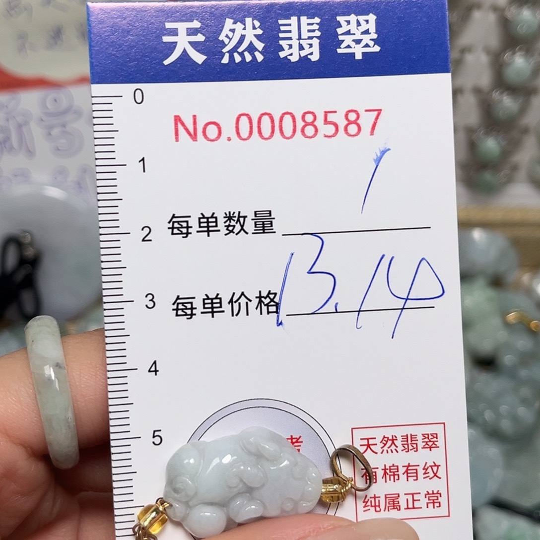 翡翠未镶嵌颈饰貔貅