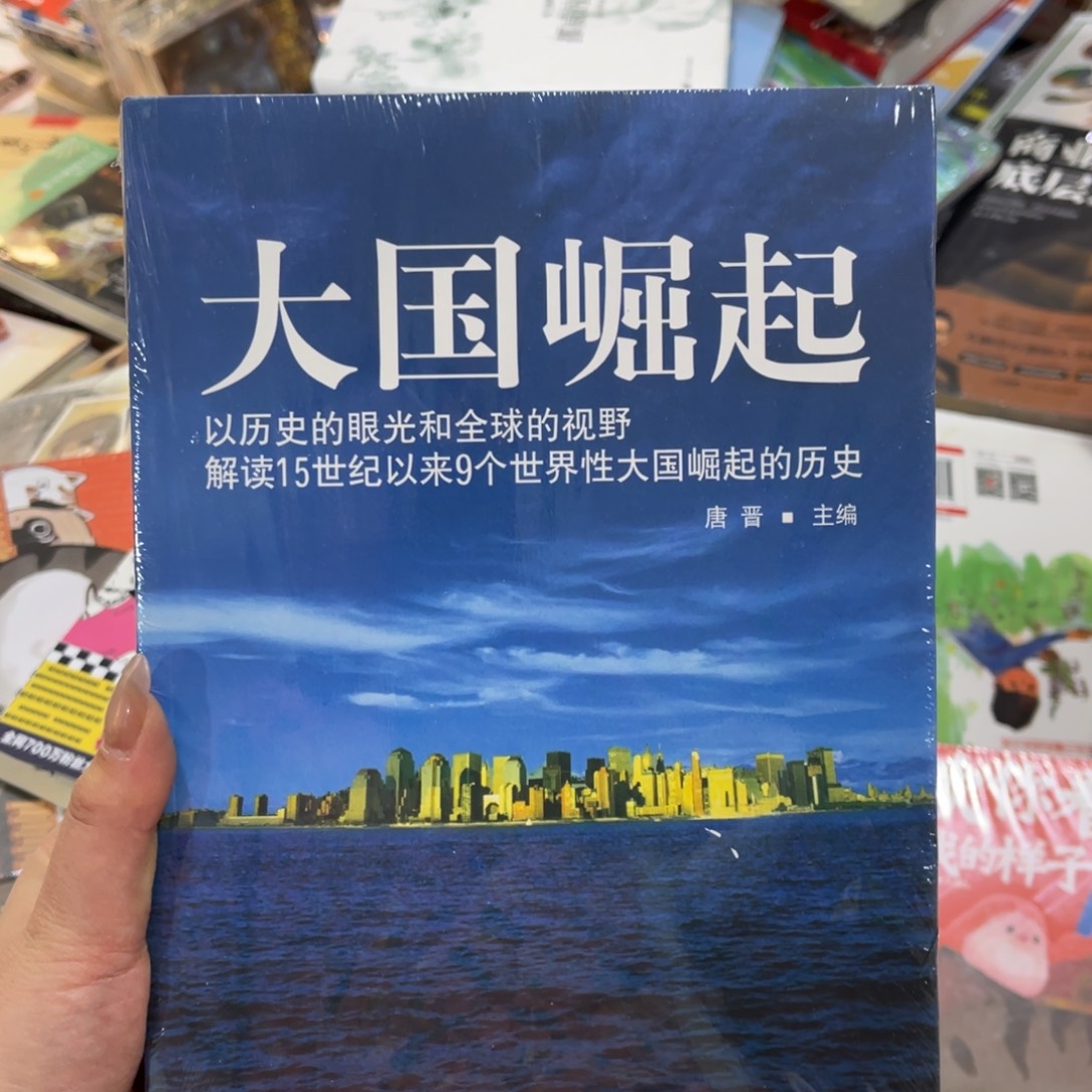 大国崛起平装一个