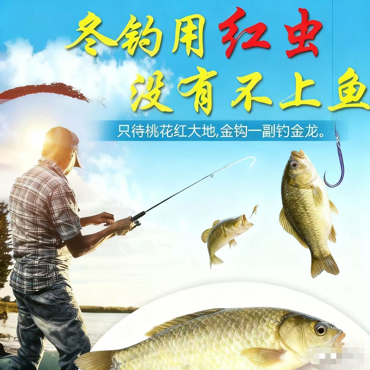 顺丰直达【虫王巨无霸】挂钩鲜活红虫新鲜大母活饵特大号鱼饵野钓饵