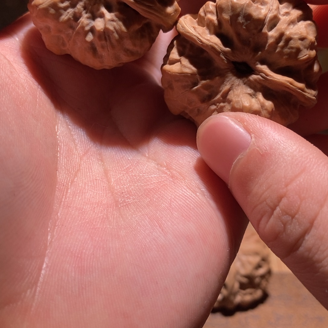 肸***乯文玩核桃吊坠蛤蟆头D61