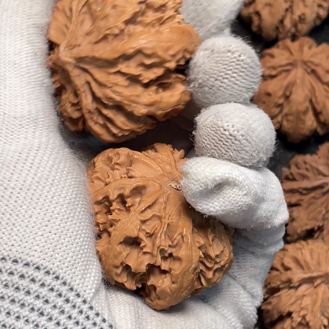 茶***桃核把件5 秦岭灯笼野生小众