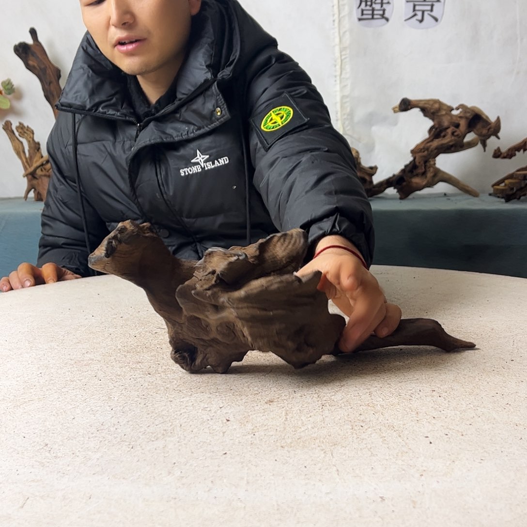 饺*沉木造景爬宠造景