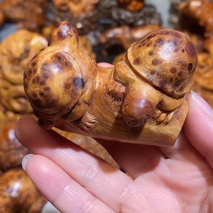 柏木太行崖柏陈化