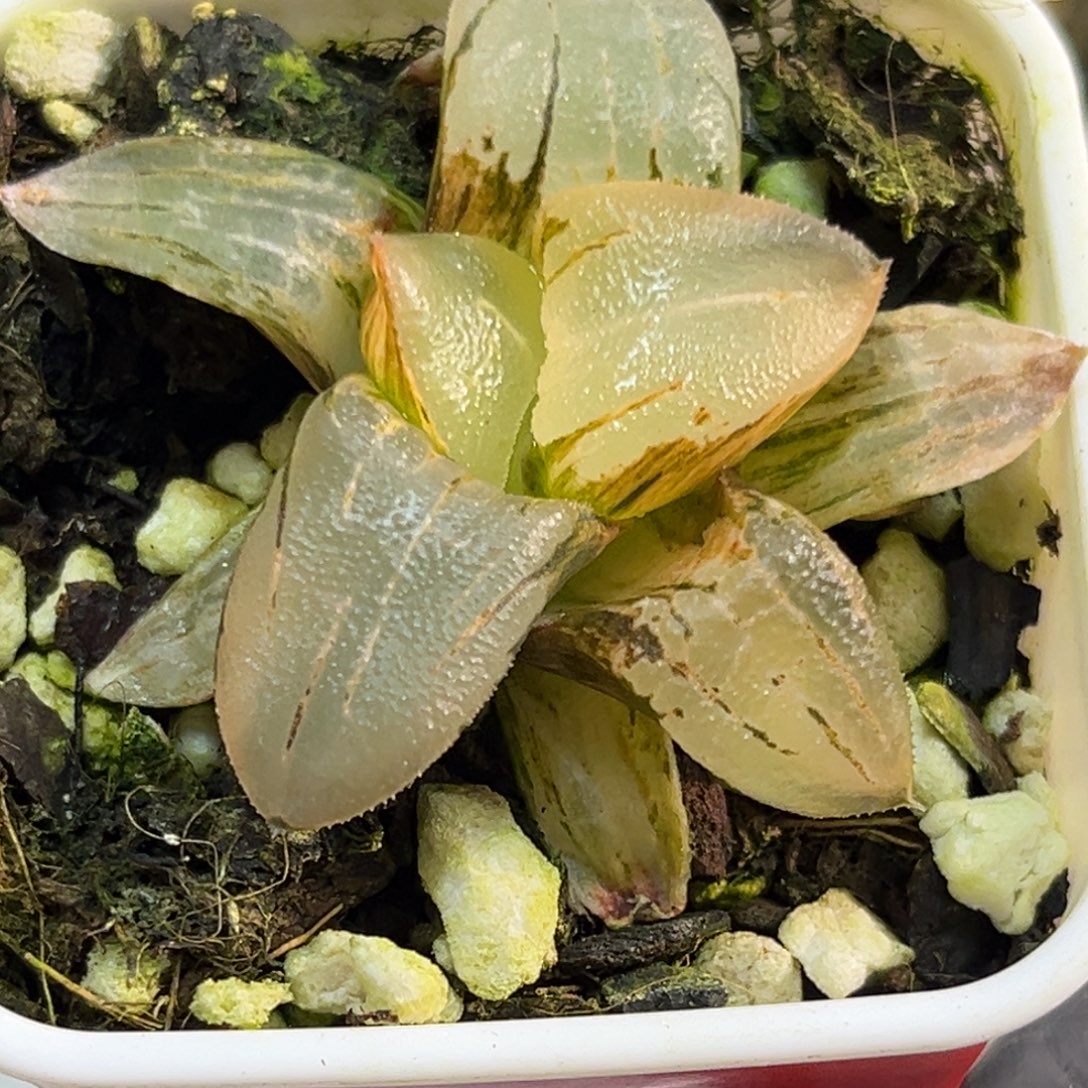 工***室恭喜发财大吉大利0358