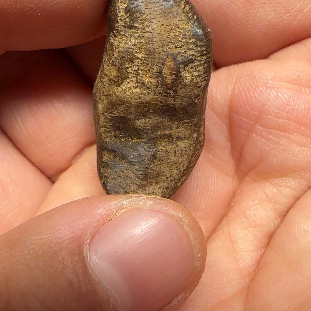 沉香沉香碎屑文莱1.68克瘤疤