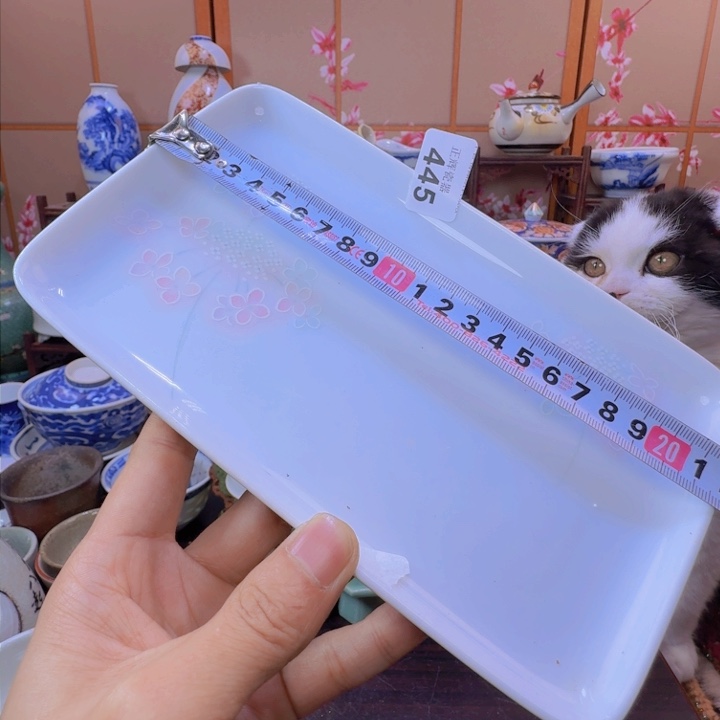 碗445啊啊啊啊啊啊啊啊啊啊啊啊