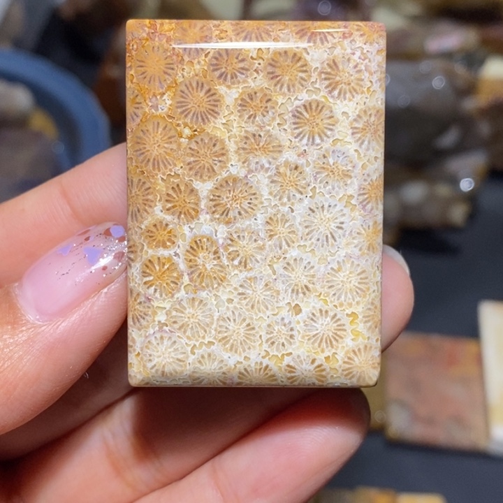 【闪购商品】未镶嵌珊瑚玉硅化玉