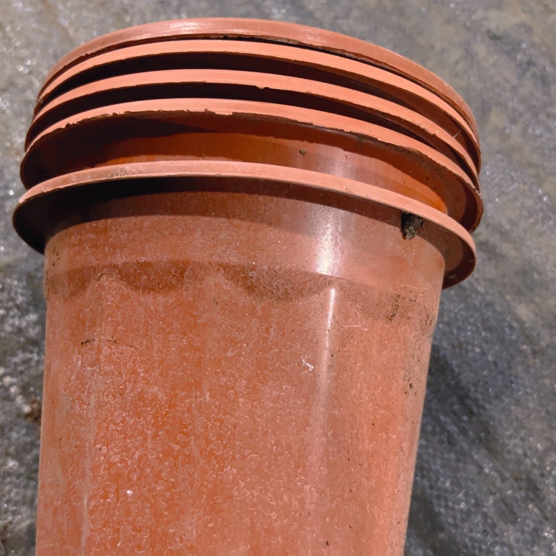 塑料红砖盆17.5口径 14高 20个 