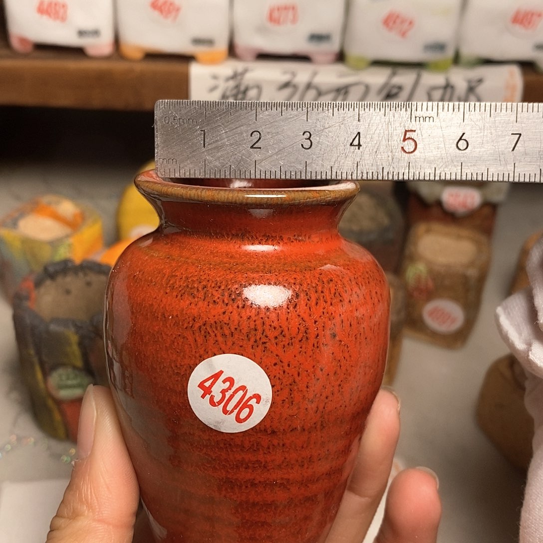 红陶拍5送一个小