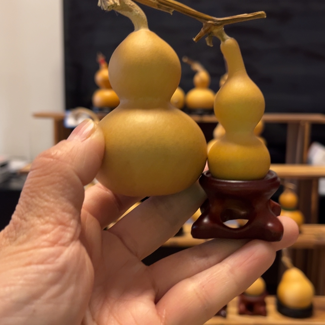 新***。精品天津嘴小美葫芦2把