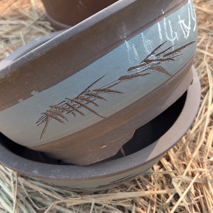 红陶紫砂碗盆口30