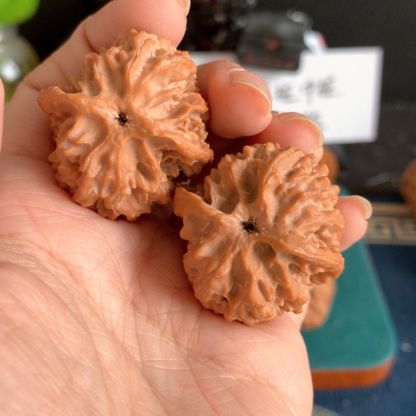 【闪购商品】核桃手串/手链34全家福苹果园编号3496