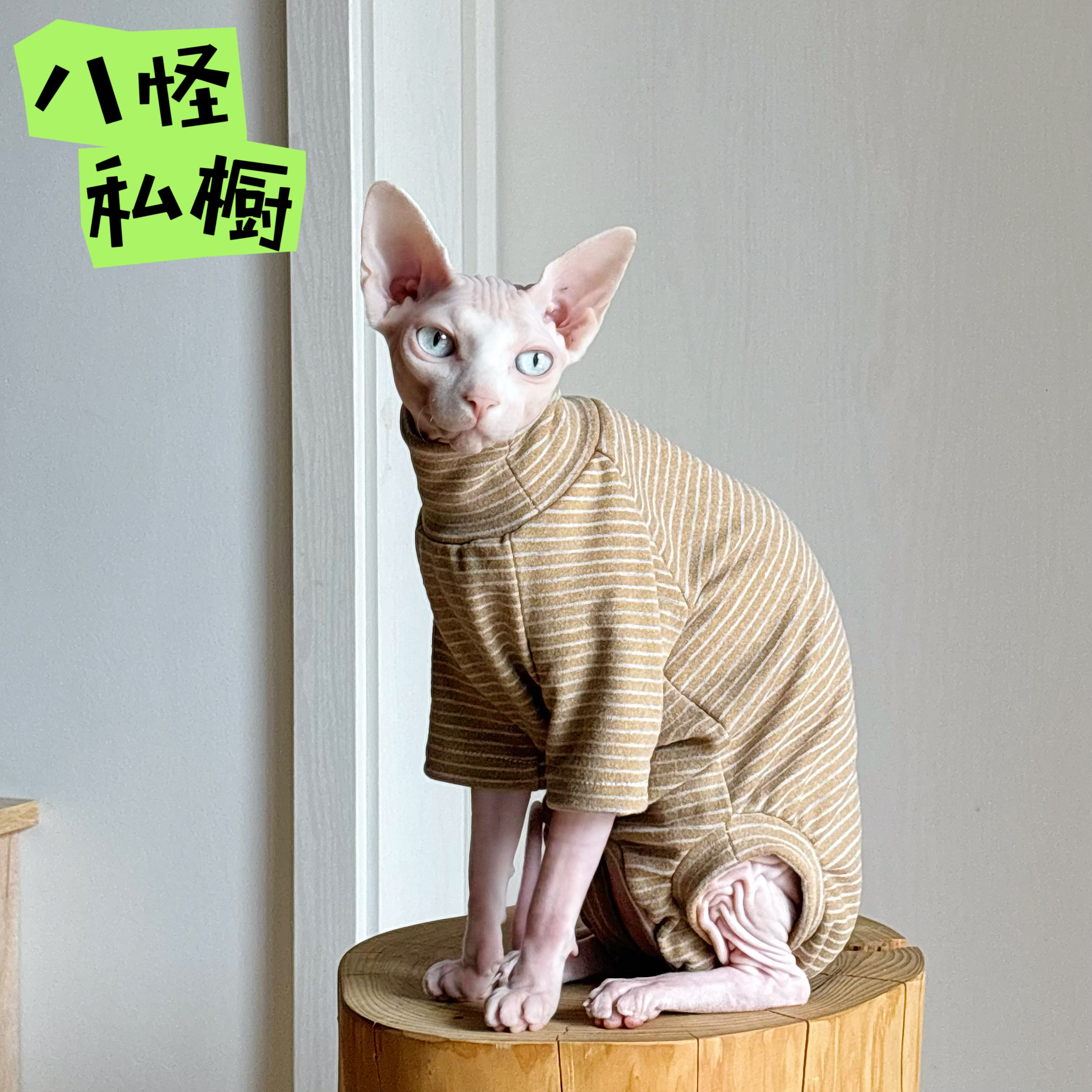 手工制作无毛猫德文猫纯棉弹力透气亲肤加绒德绒四脚衣
