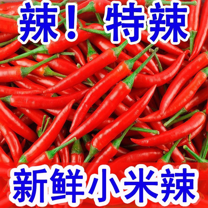 高山小米辣椒新鲜采摘特辣农家种植朝天椒精选超薄皮红辣椒指天椒