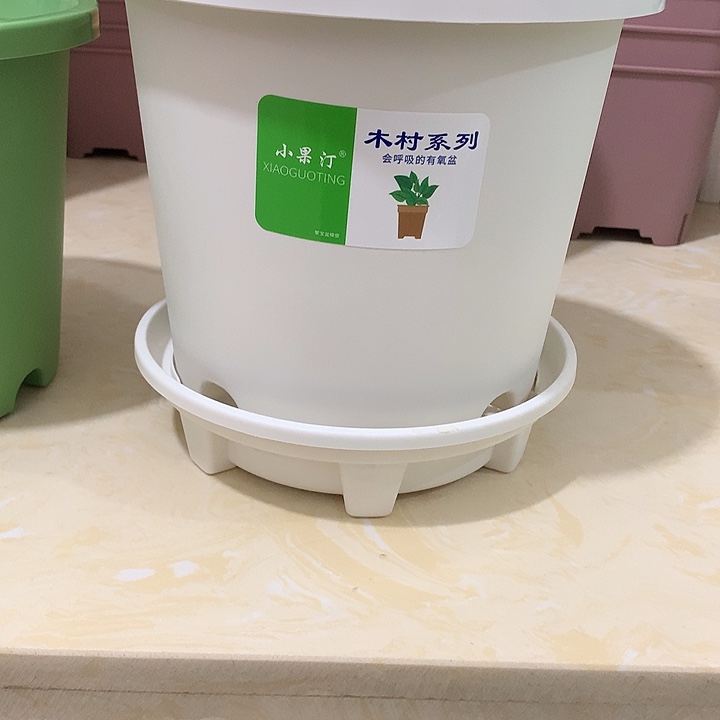 小果汀20口白5个带托