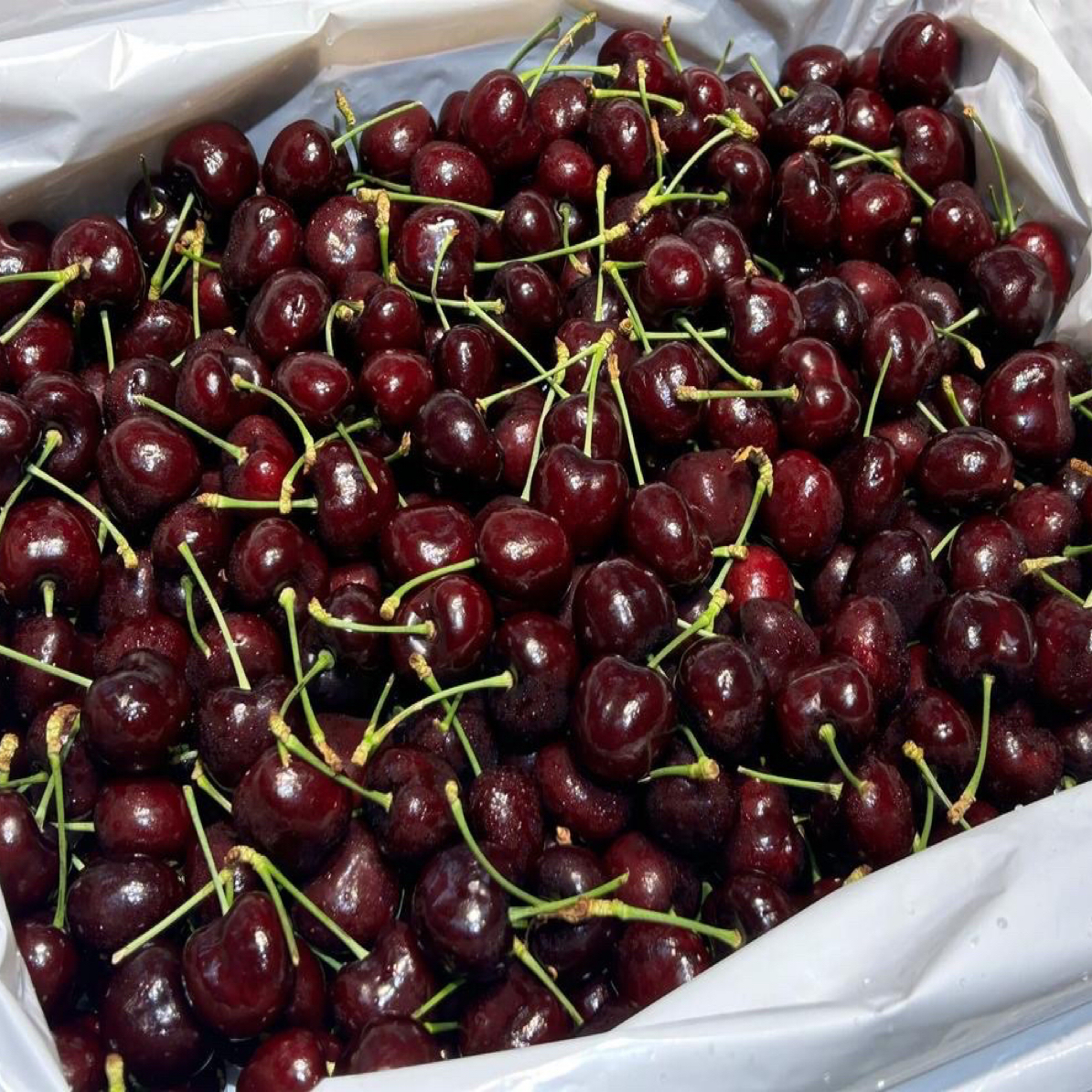 【同城配送】智利空运桑缇娜车厘子JD加黑加大2.5kg箱装桑提娜智利