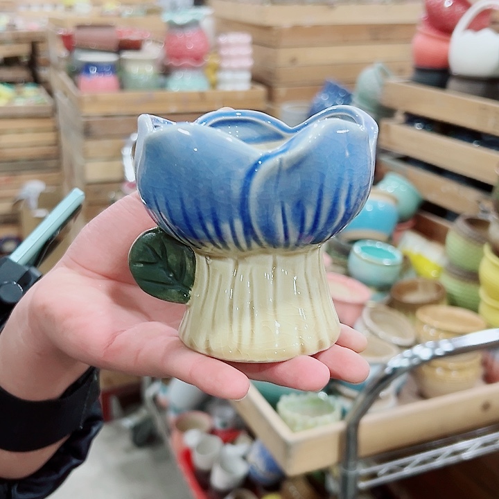 花盆有孔！订单凑满10米包由！