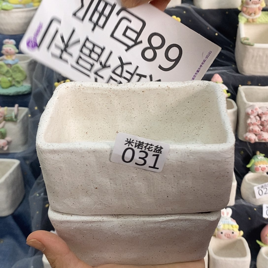 米诺多肉植物花盆031