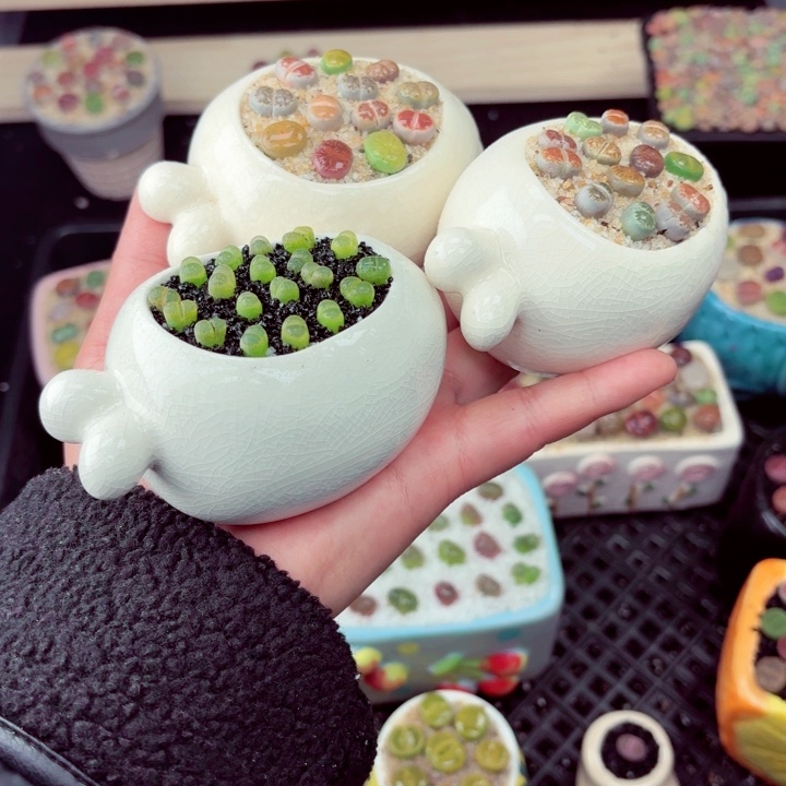 616 零下地区记得拍包保温箱满18包邮