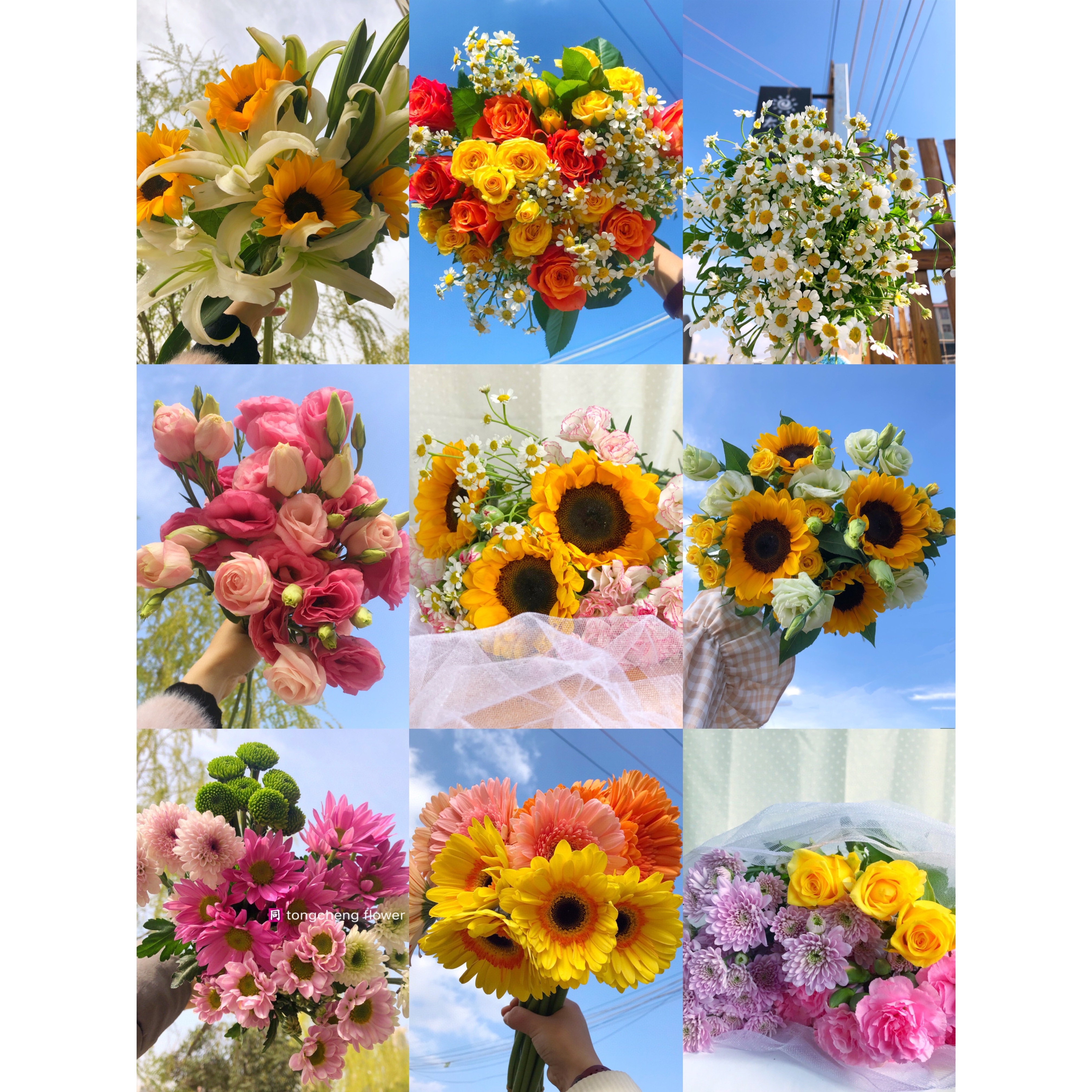 【鲜切花  优惠  套餐】单头 多头玫瑰 百合 向日葵 配花 配草