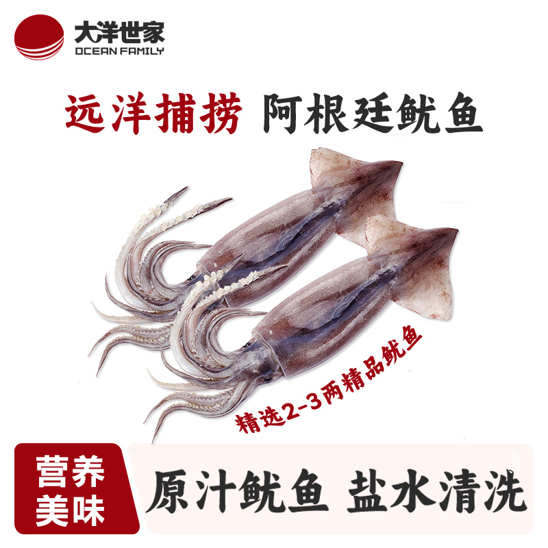 OCEAN FAMILY/大洋世家船冻阿根廷鱿鱼 不添加保水剂 1kg8条