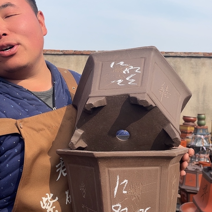 紫砂紫砂花盆盆栽