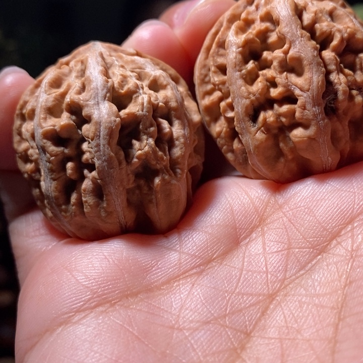 把件文玩核桃东北楸子小路 137