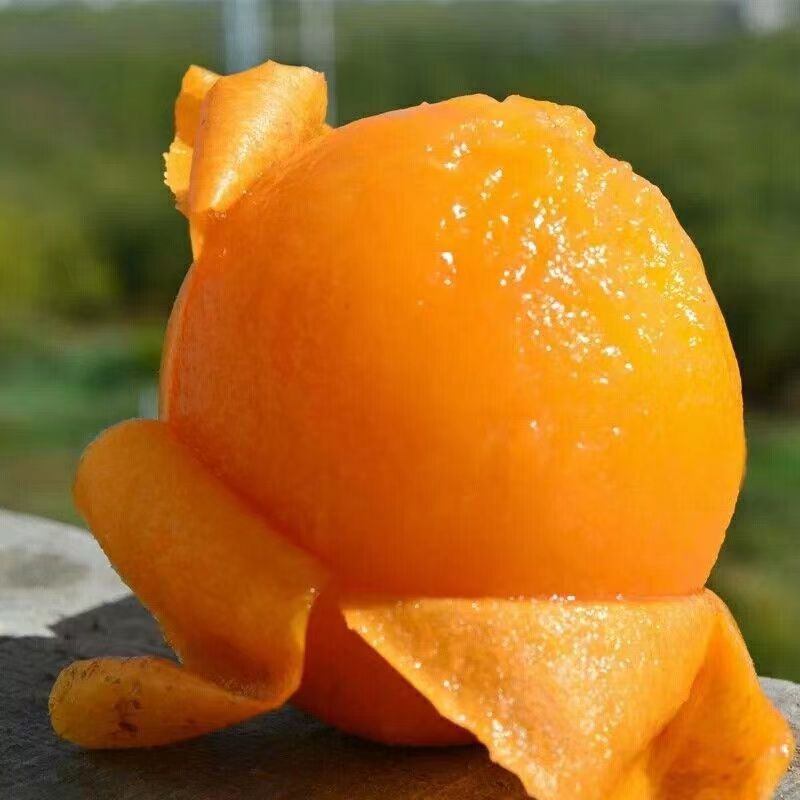 【瑕疵】瑕疵枇杷1斤装