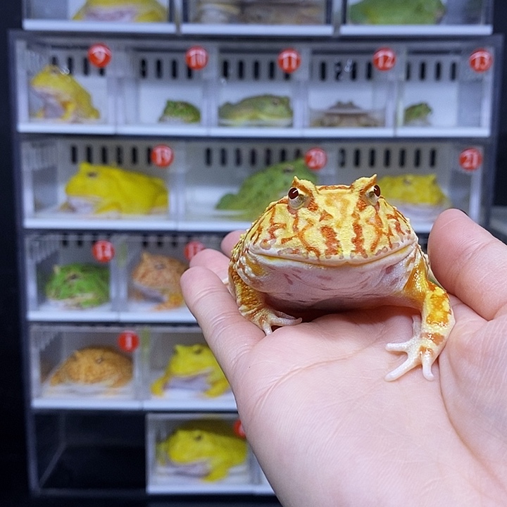 特价秒杀一切顺利