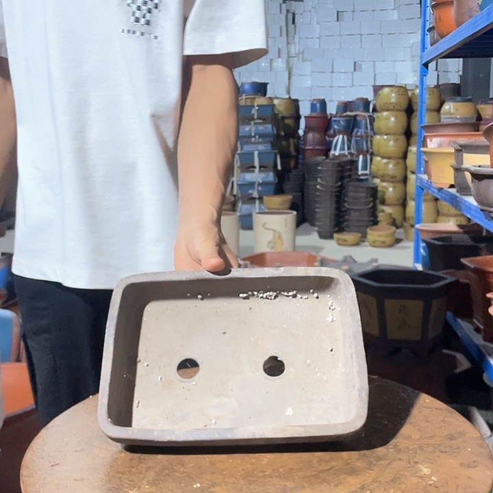 花盆花盆花盆花盆花盆花盆